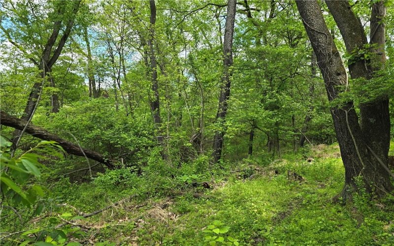 Lot 134 Brokers Lane, Irwin, 15642, ,Farm-acreage-lot,For Sale,Brokers Lane,1754847