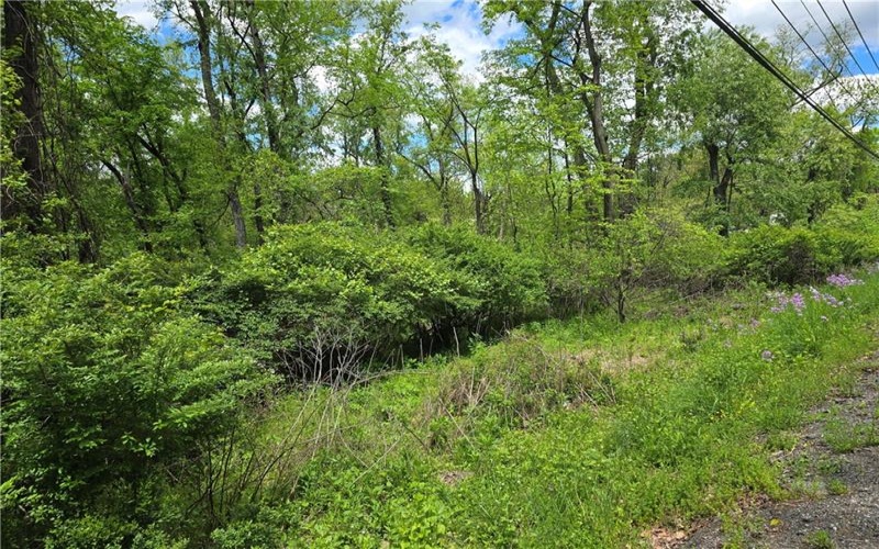 Lot 134 Brokers Lane, Irwin, 15642, ,Farm-acreage-lot,For Sale,Brokers Lane,1754847