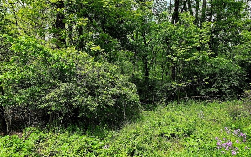 Lot 134 Brokers Lane, Irwin, 15642, ,Farm-acreage-lot,For Sale,Brokers Lane,1754847