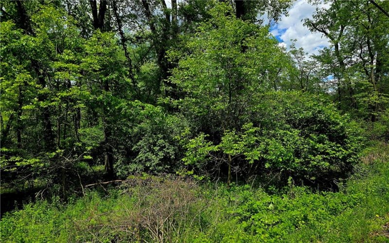 Lot 134 Brokers Lane, Irwin, 15642, ,Farm-acreage-lot,For Sale,Brokers Lane,1754847