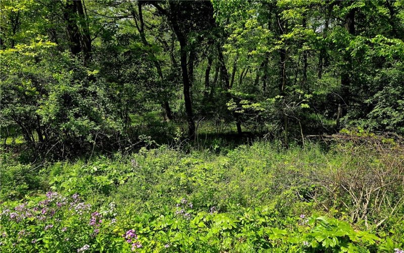Lot 134 Brokers Lane, Irwin, 15642, ,Farm-acreage-lot,For Sale,Brokers Lane,1754847