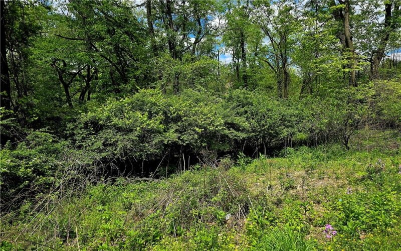 Lot 134 Brokers Lane, Irwin, 15642, ,Farm-acreage-lot,For Sale,Brokers Lane,1754847
