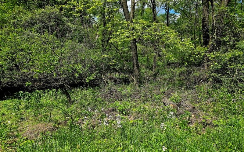 Lot 134 Brokers Lane, Irwin, 15642, ,Farm-acreage-lot,For Sale,Brokers Lane,1754847