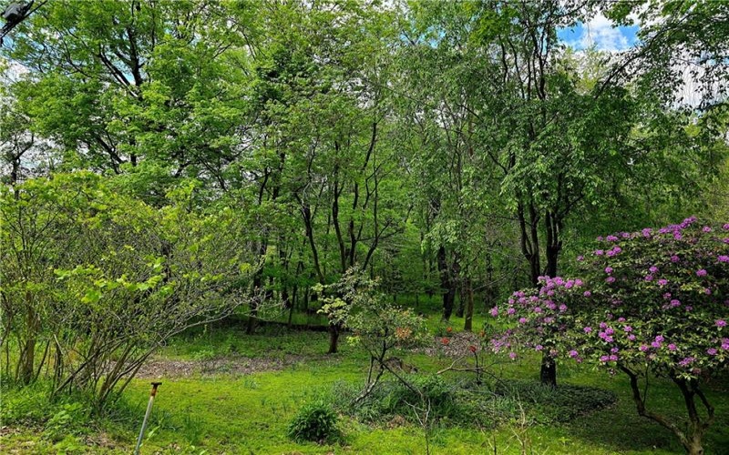 Lot 136 Brokers Lane, North Huntingdon, 15642, ,Farm-acreage-lot,For Sale,Brokers Lane,1754850