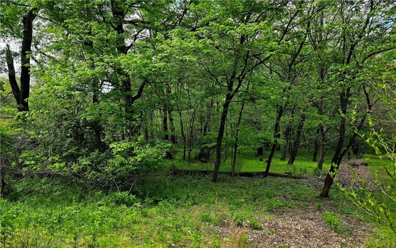 Lot 136 Brokers Lane, North Huntingdon, 15642, ,Farm-acreage-lot,For Sale,Brokers Lane,1754850