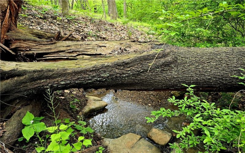 Lot 136 Brokers Lane, North Huntingdon, 15642, ,Farm-acreage-lot,For Sale,Brokers Lane,1754850