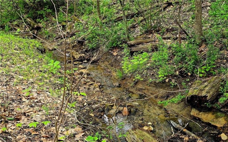 Lot 136 Brokers Lane, North Huntingdon, 15642, ,Farm-acreage-lot,For Sale,Brokers Lane,1754850