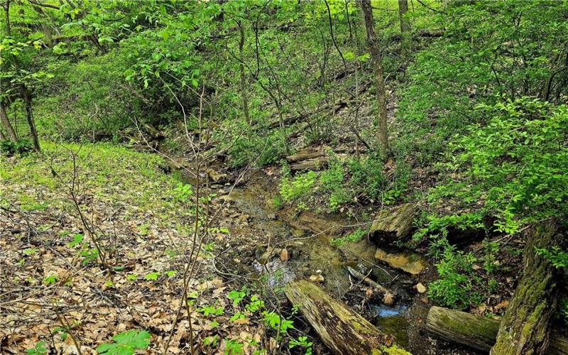Lot 136 Brokers Lane, North Huntingdon, 15642, ,Farm-acreage-lot,For Sale,Brokers Lane,1754850