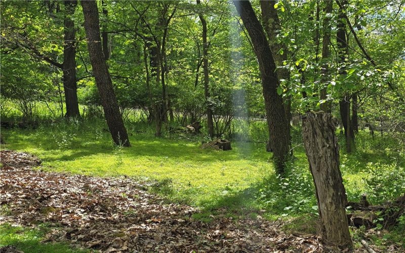 Lot 136 Brokers Lane, North Huntingdon, 15642, ,Farm-acreage-lot,For Sale,Brokers Lane,1754850