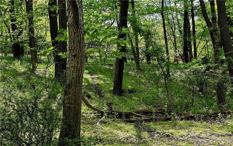 Lot 136 Brokers Lane, North Huntingdon, 15642, ,Farm-acreage-lot,For Sale,Brokers Lane,1754850