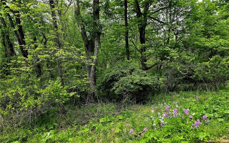 Lot 136 Brokers Lane, North Huntingdon, 15642, ,Farm-acreage-lot,For Sale,Brokers Lane,1754850