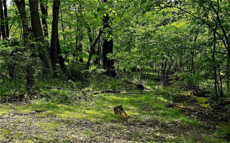 Lot 136 Brokers Lane, North Huntingdon, 15642, ,Farm-acreage-lot,For Sale,Brokers Lane,1754850