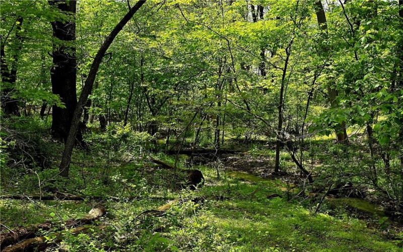 Lot 136 Brokers Lane, North Huntingdon, 15642, ,Farm-acreage-lot,For Sale,Brokers Lane,1754850