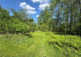 Lot#2 McClain Rd, Rostraver Township, 15012, ,Farm-acreage-lot,For Sale,None,McClain Rd,1754892