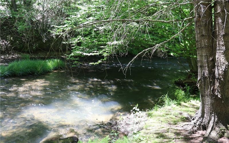 193 Creek Rd, Bolivar, 15923, ,Farm-acreage-lot,For Sale,Garage,Creek Rd,1757427