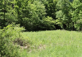 193 Creek Rd, Bolivar, 15923, ,Farm-acreage-lot,For Sale,Garage,Creek Rd,1757427 193 Creek Rd, Bolivar, 15923, ,Farm-acreage-lot,For Sale,Garage,Creek Rd,1757427