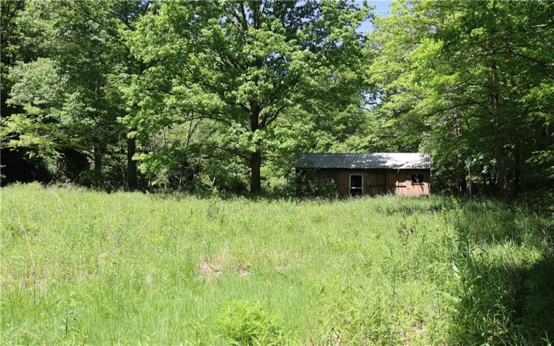 193 Creek Rd, Bolivar, 15923, ,Farm-acreage-lot,For Sale,Garage,Creek Rd,1757427