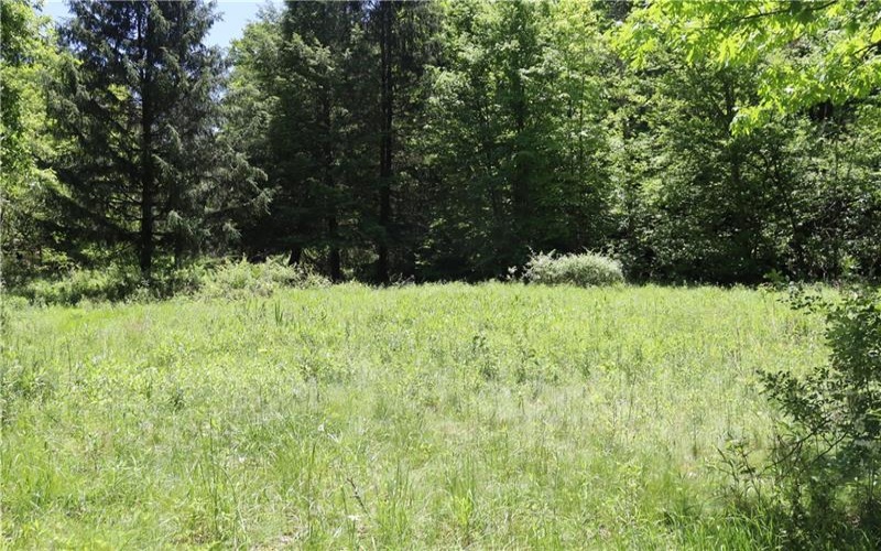 193 Creek Rd, Bolivar, 15923, ,Farm-acreage-lot,For Sale,Garage,Creek Rd,1757427