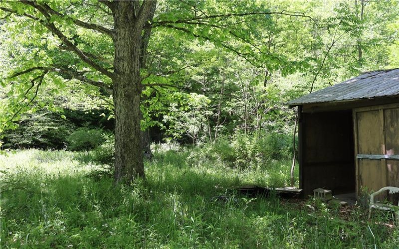 193 Creek Rd, Bolivar, 15923, ,Farm-acreage-lot,For Sale,Garage,Creek Rd,1757427