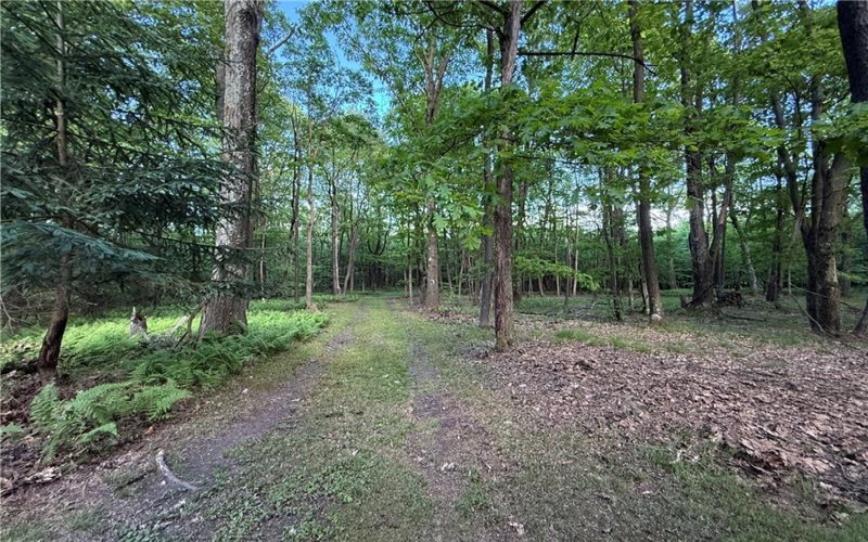 616 Matson Road, Ligonier, 15658, 1 Bedroom Bedrooms, 3 Rooms Rooms,Residential,For Sale,Matson Road,1758384