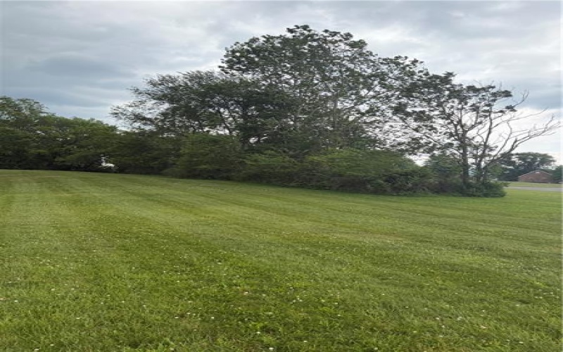 TBD School, Mount Pleasant, 15666, ,Farm-acreage-lot,For Sale,School,1758593