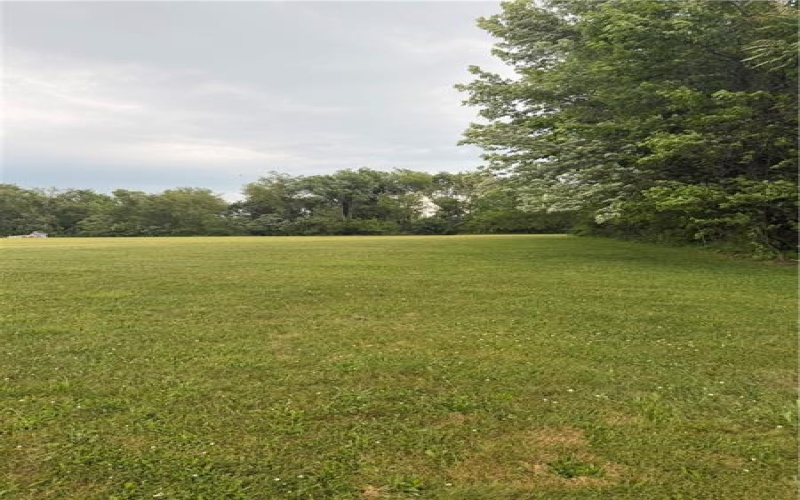 TBD School, Mount Pleasant, 15666, ,Farm-acreage-lot,For Sale,School,1758593