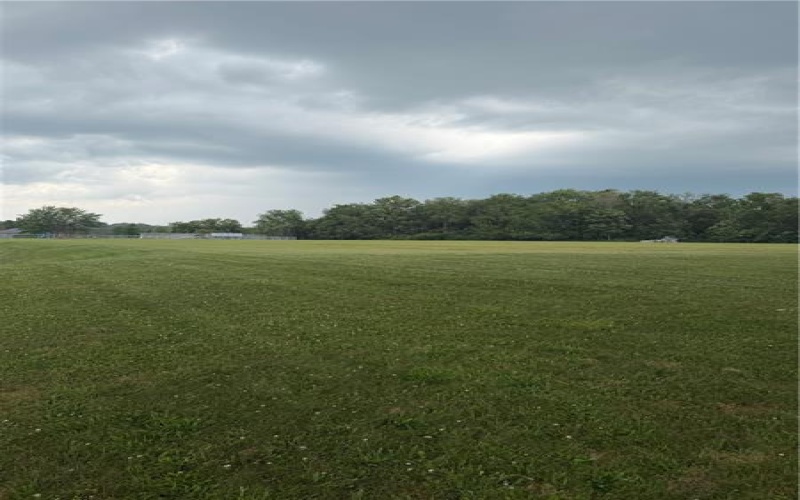 TBD School, Mount Pleasant, 15666, ,Farm-acreage-lot,For Sale,School,1758593