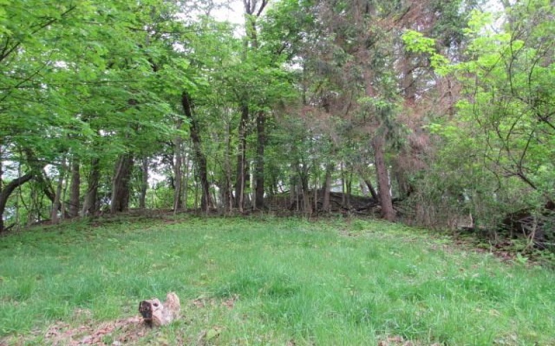 160 Tillman Avenue, Johnstown, 15905, 2 Bedrooms Bedrooms, 5 Rooms Rooms,1.1 BathroomsBathrooms,Residential,For Sale,Tillman Avenue,1758596