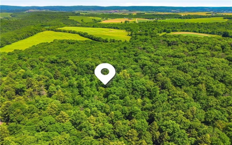 605 Laurel Falls Road, Meyersdale, 15552, 3 Bedrooms Bedrooms, ,2 BathroomsBathrooms,Residential,For Sale,Laurel Falls Road,1758252