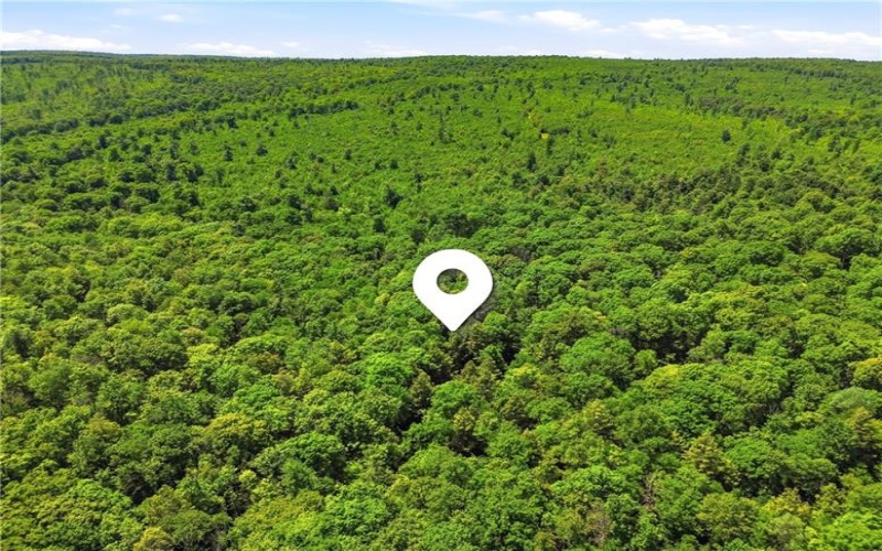 605 Laurel Falls Road, Meyersdale, 15552, 3 Bedrooms Bedrooms, ,2 BathroomsBathrooms,Residential,For Sale,Laurel Falls Road,1758252