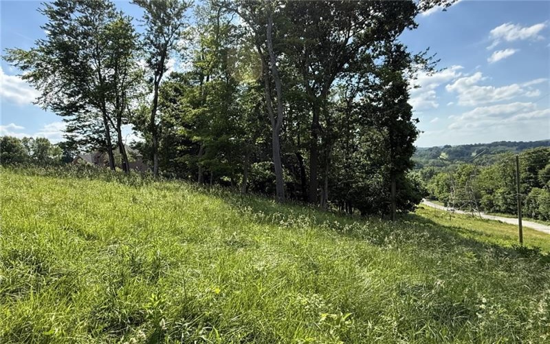 Lots 206 and 208 Old Woods Drive, McMurray, 15317, ,Farm-acreage-lot,For Sale,Old Woods Drive,1758864