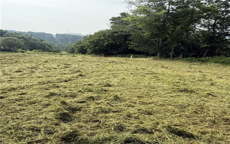 Lots 206 and 208 Old Woods Drive, McMurray, 15317, ,Farm-acreage-lot,For Sale,Old Woods Drive,1758864