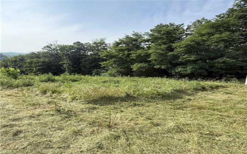 Lots 206 and 208 Old Woods Drive, McMurray, 15317, ,Farm-acreage-lot,For Sale,Old Woods Drive,1758864