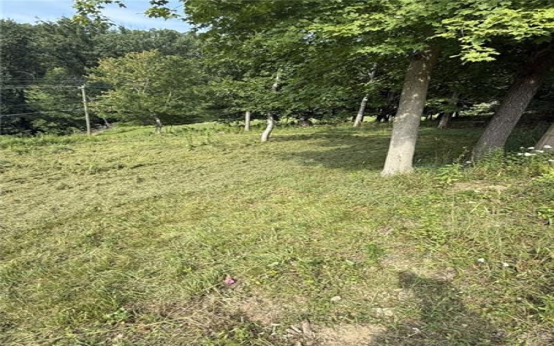 Lots 206 and 208 Old Woods Drive, McMurray, 15317, ,Farm-acreage-lot,For Sale,Old Woods Drive,1758864