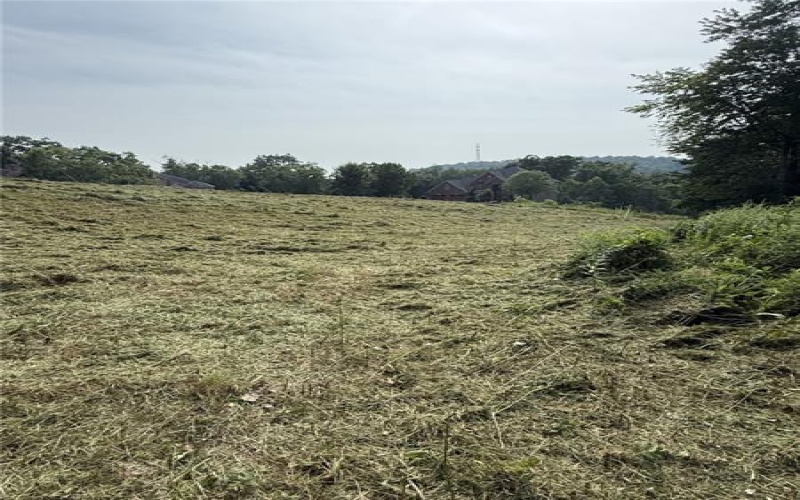 Lots 206 and 208 Old Woods Drive, McMurray, 15317, ,Farm-acreage-lot,For Sale,Old Woods Drive,1758864