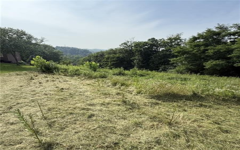 Lots 206 and 208 Old Woods Drive, McMurray, 15317, ,Farm-acreage-lot,For Sale,Old Woods Drive,1758864