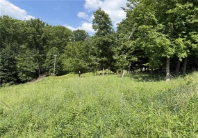 Lots 206 and 208 Old Woods Drive, McMurray, 15317, ,Farm-acreage-lot,For Sale,Old Woods Drive,1758864