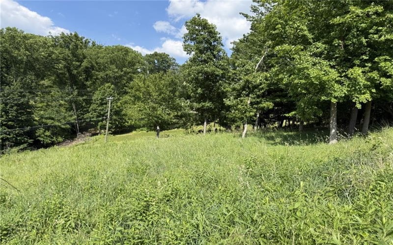 Lots 206 and 208 Old Woods Drive, McMurray, 15317, ,Farm-acreage-lot,For Sale,Old Woods Drive,1758864