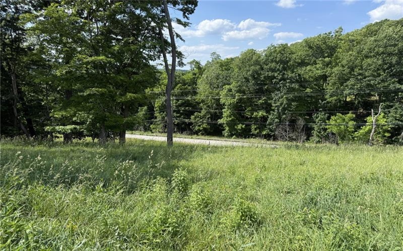 Lots 206 and 208 Old Woods Drive, McMurray, 15317, ,Farm-acreage-lot,For Sale,Old Woods Drive,1758864