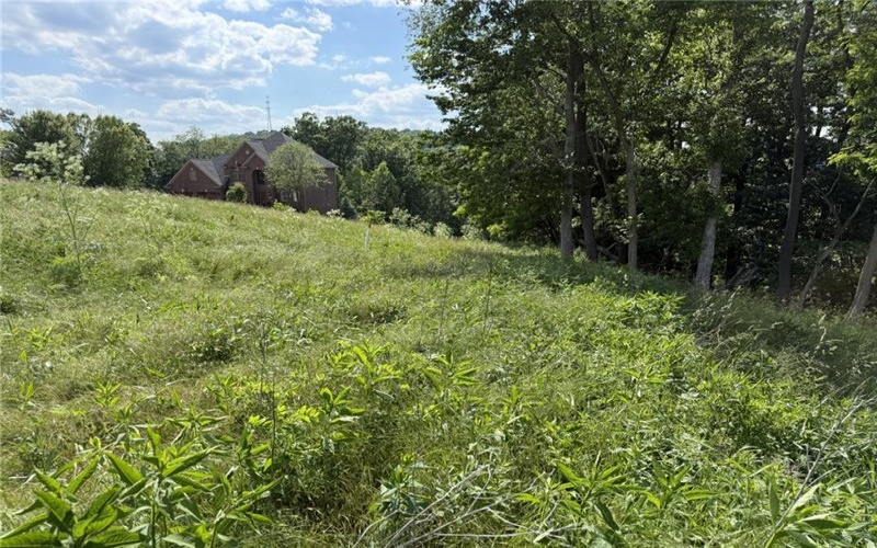 Lots 206 and 208 Old Woods Drive, McMurray, 15317, ,Farm-acreage-lot,For Sale,Old Woods Drive,1758864