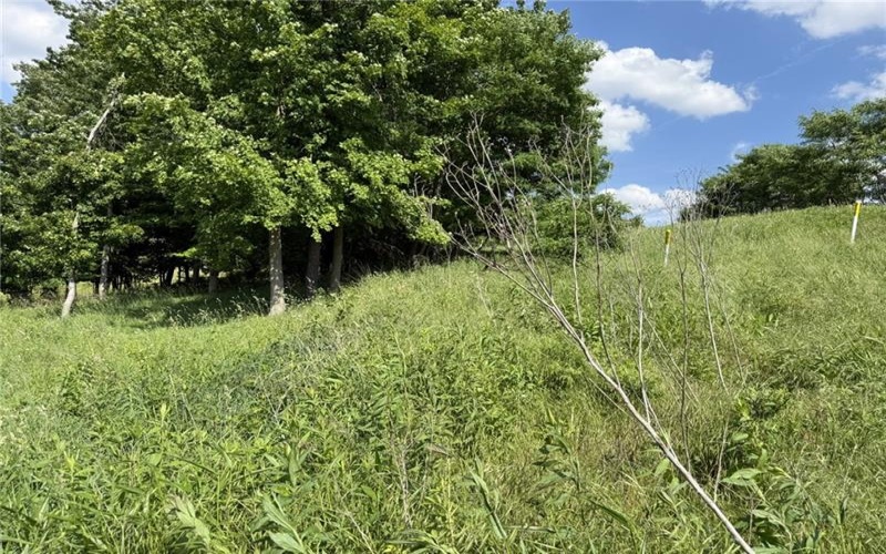 Lots 206 and 208 Old Woods Drive, McMurray, 15317, ,Farm-acreage-lot,For Sale,Old Woods Drive,1758864