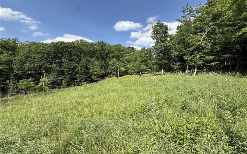 Lots 206 and 208 Old Woods Drive, McMurray, 15317, ,Farm-acreage-lot,For Sale,Old Woods Drive,1758864