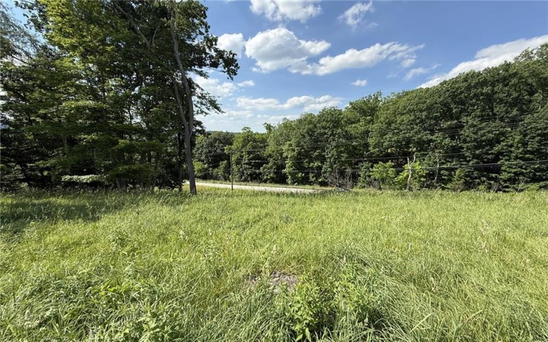 Lots 206 and 208 Old Woods Drive, McMurray, 15317, ,Farm-acreage-lot,For Sale,Old Woods Drive,1758864