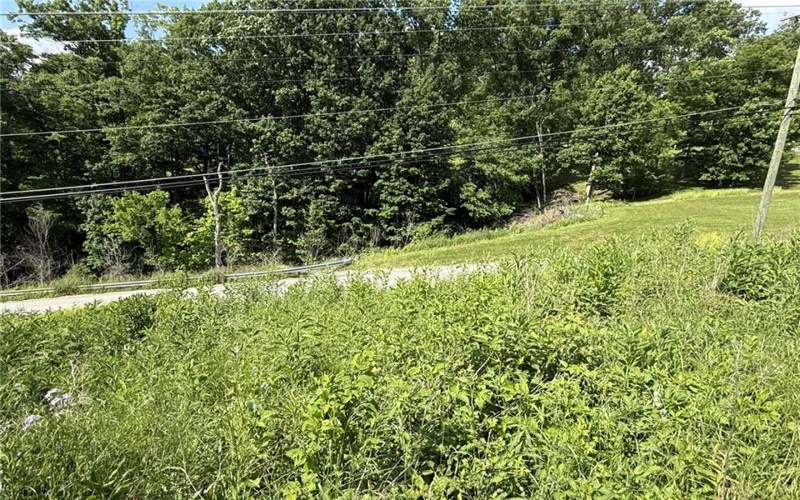 Lots 206 and 208 Old Woods Drive, McMurray, 15317, ,Farm-acreage-lot,For Sale,Old Woods Drive,1758864