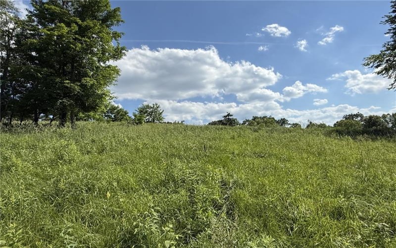 Lots 206 and 208 Old Woods Drive, McMurray, 15317, ,Farm-acreage-lot,For Sale,Old Woods Drive,1758864