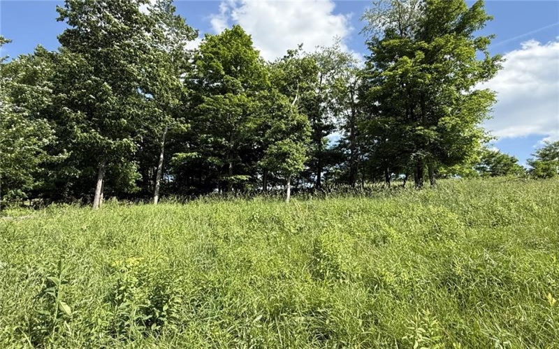 Lots 206 and 208 Old Woods Drive, McMurray, 15317, ,Farm-acreage-lot,For Sale,Old Woods Drive,1758864