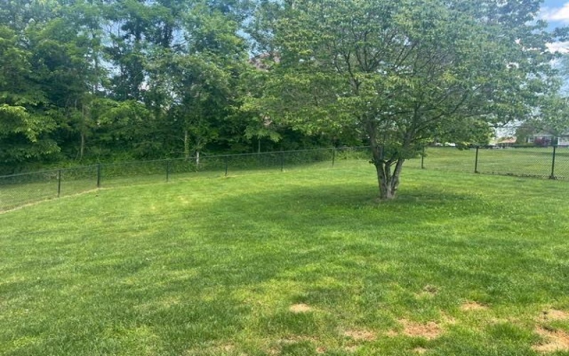 443 DUCK HOLLOW ROAD, Uniontown, 15401, 4 Bedrooms Bedrooms, 8 Rooms Rooms,2 BathroomsBathrooms,Residential,For Sale,DUCK HOLLOW ROAD,1758777