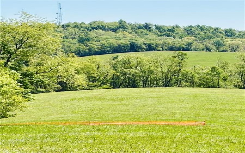 0 Lyons Rd LOT 4, Claysville, 15323, ,Farm-acreage-lot,For Sale,Lyons Rd LOT 4,1758941