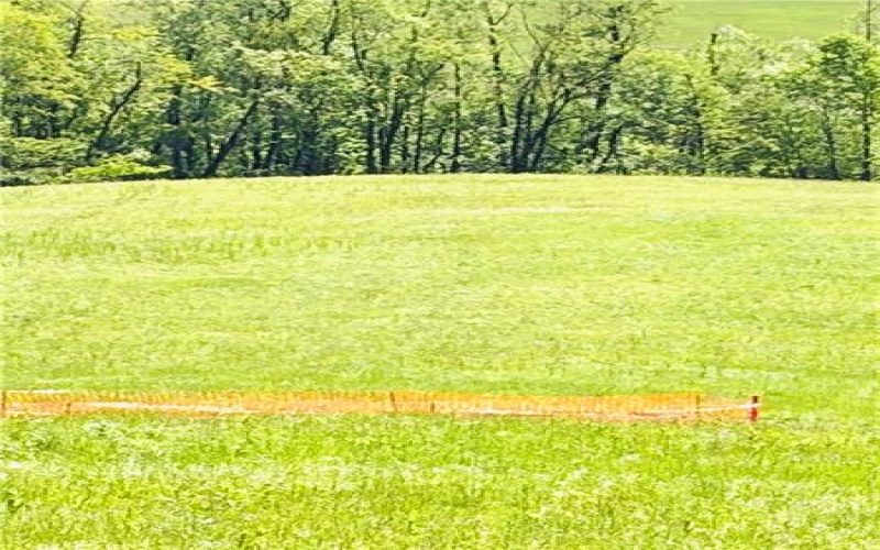 0 Lyons Rd LOT 4, Claysville, 15323, ,Farm-acreage-lot,For Sale,Lyons Rd LOT 4,1758941