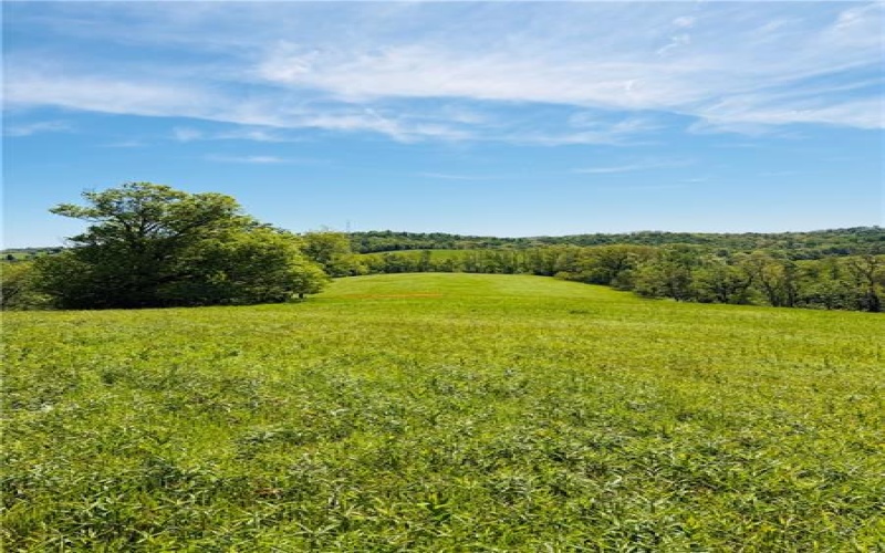 0 Lyons Rd LOT 4, Claysville, 15323, ,Farm-acreage-lot,For Sale,Lyons Rd LOT 4,1758941